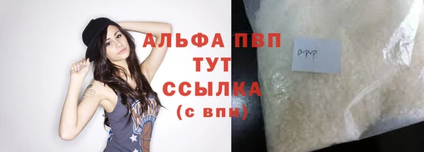 спиды Дмитриев