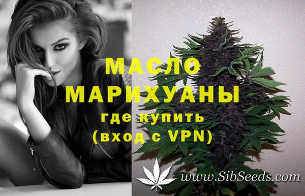 спиды Дмитриев