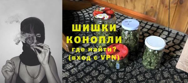 спиды Дмитриев