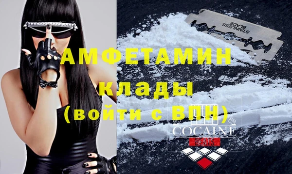 спиды Дмитриев