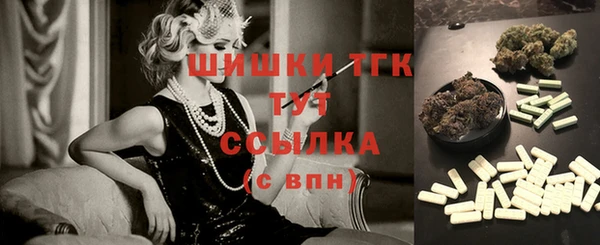 спиды Дмитриев