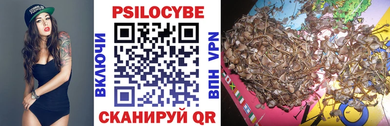 как найти наркотики  Ивангород  Галлюциногенные грибы Cubensis 